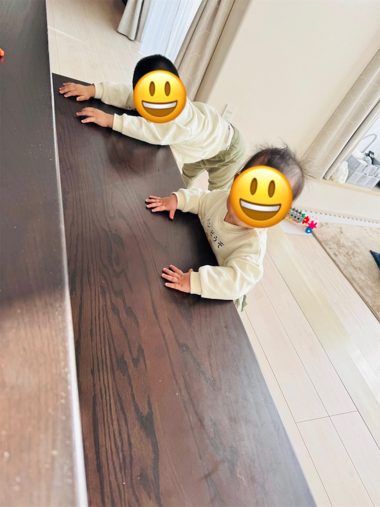 f:id:me77391j:20240420194210j:image