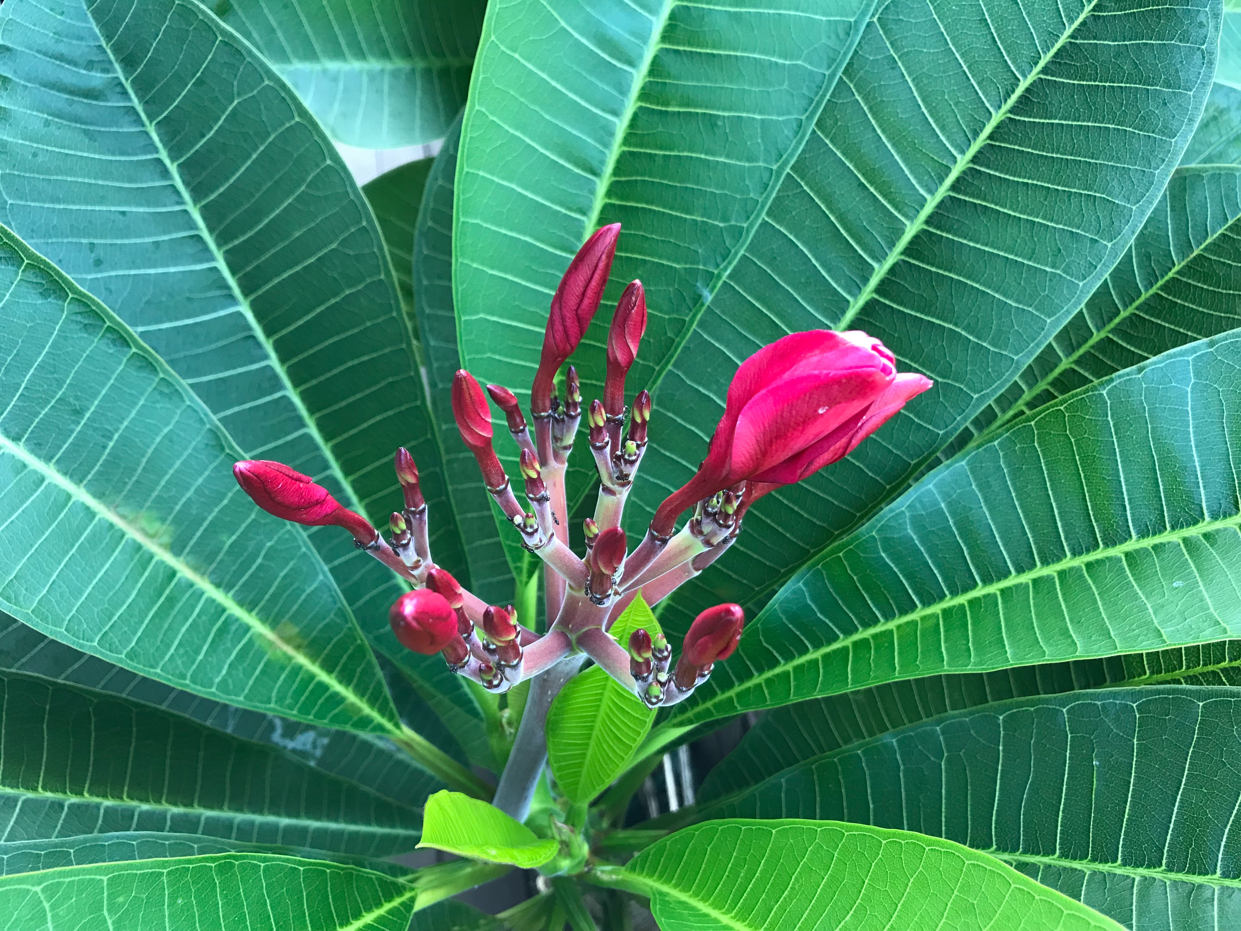 f:id:meMakani:20190903003430j:image f:id:meMakani:20190903003430j:image
