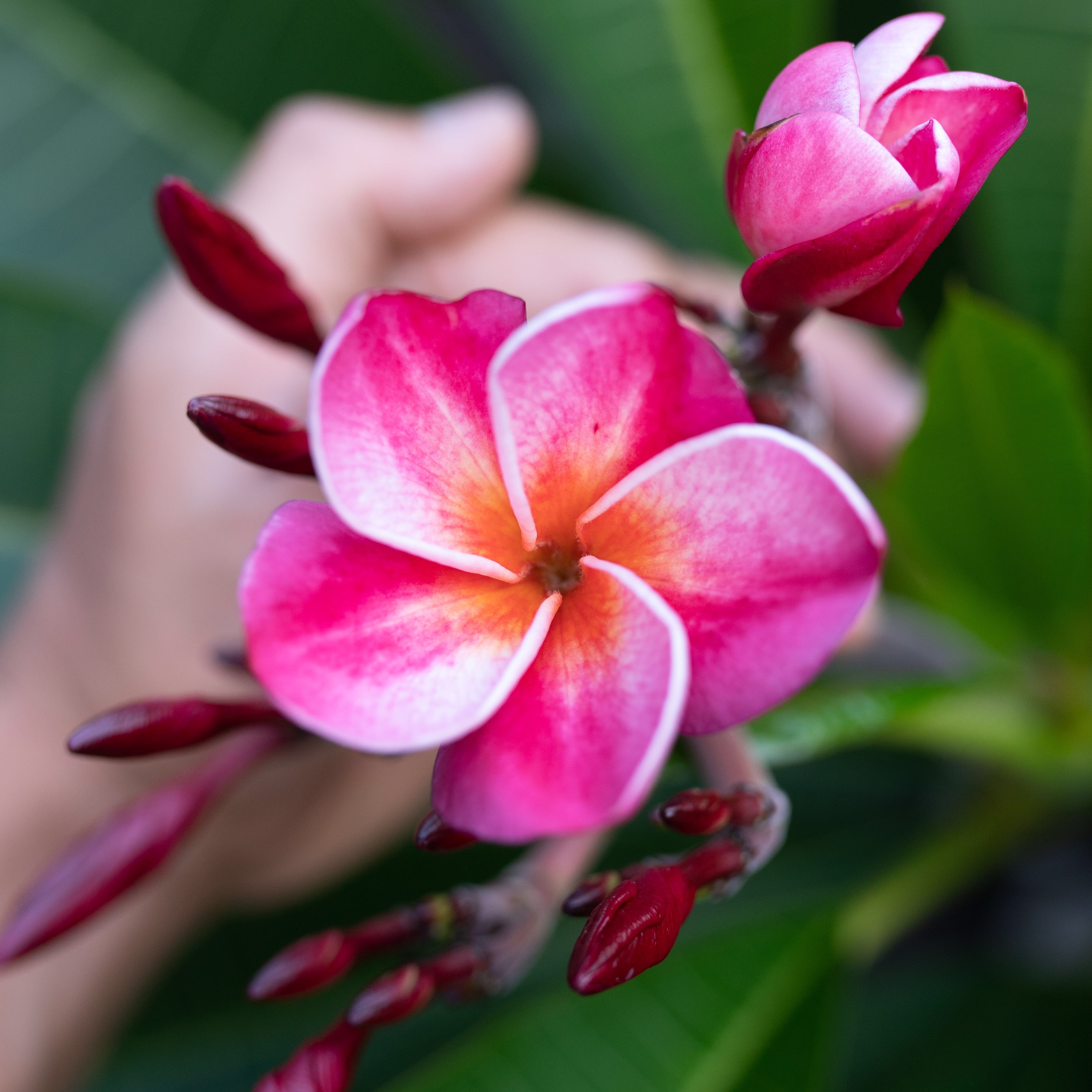f:id:meMakani:20190903003443j:image f:id:meMakani:20190903003443j:image