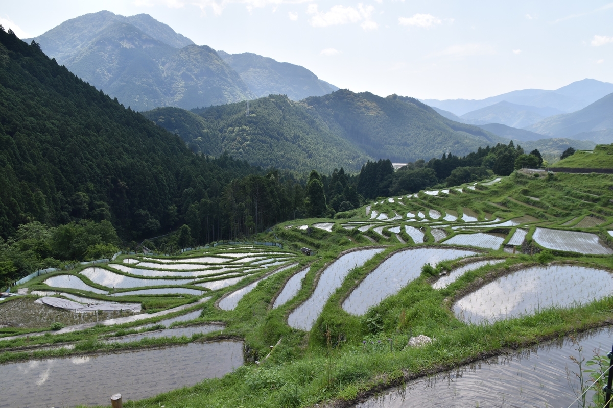 f:id:me_takayama:20210606102702j:plain