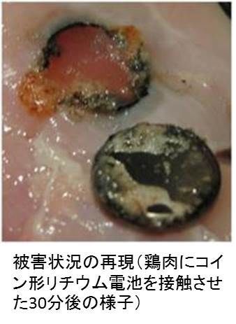ボタン電池の危険性の写真