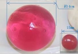水で膨らむボールの写真