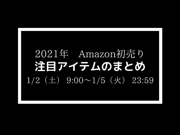 f:id:meaningful_Memo:20210102115329j:plain