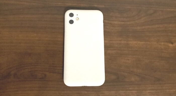 f:id:meaningful_Memo:20210309235424j:plain