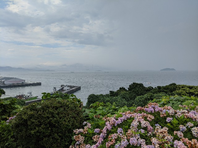 f:id:meaorz:20200723182041j:image f:id:meaorz:20200723182041j:image