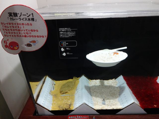 f:id:mecarauroco:20180601172855j:plain f:id:mecarauroco:20180601172855j:plain
