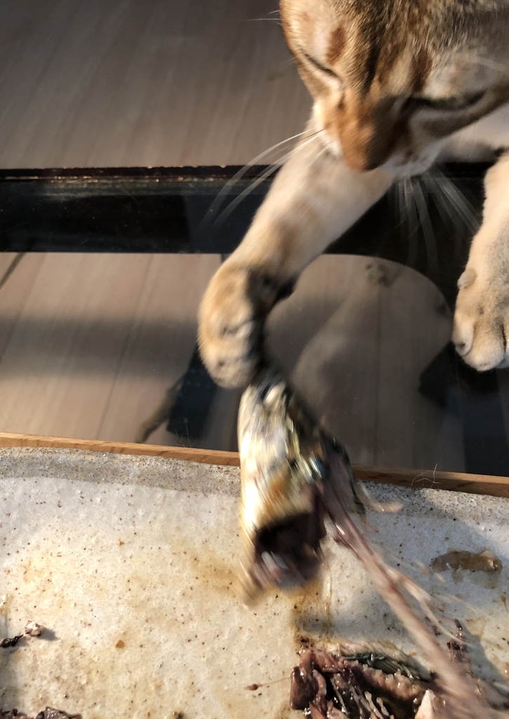 f:id:mecatfish:20181001193341j:plain f:id:mecatfish:20181001193341j:plain