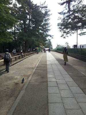 興福寺への入り口