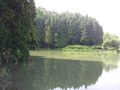龍王ヶ渕