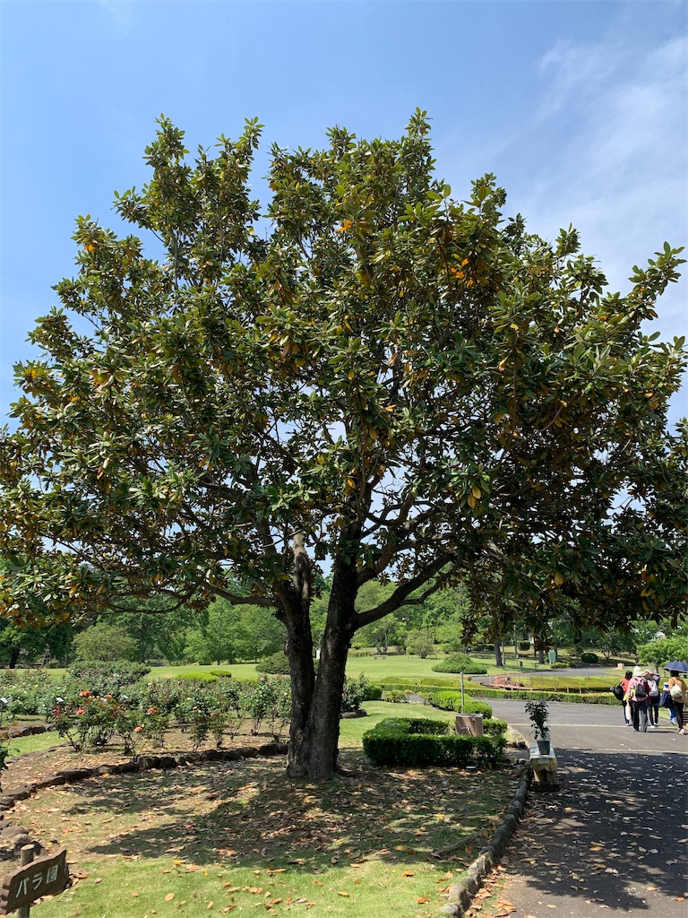 f:id:mecha_ism:20190526191428j:image f:id:mecha_ism:20190526191428j:image