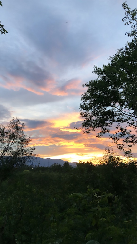 f:id:mecharon1205:20190804143610j:image f:id:mecharon1205:20190804143610j:image