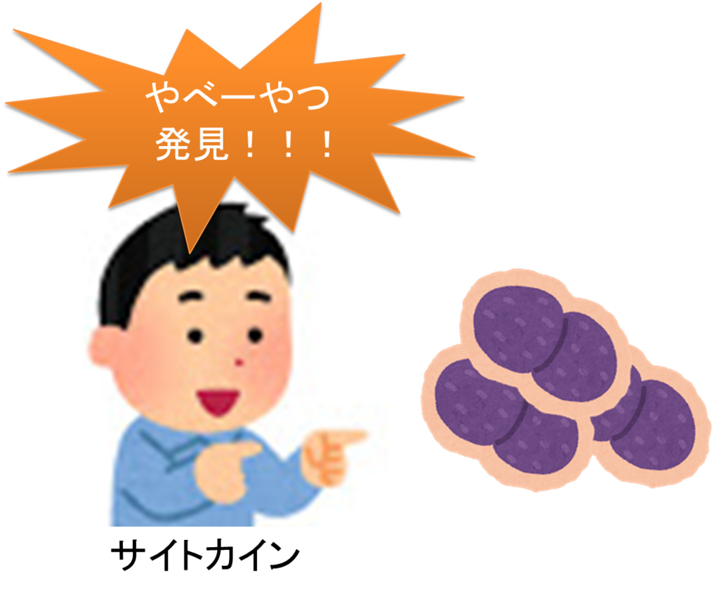 f:id:med-info4parents:20190128220843p:plain f:id:med-info4parents:20190128220843p:plain