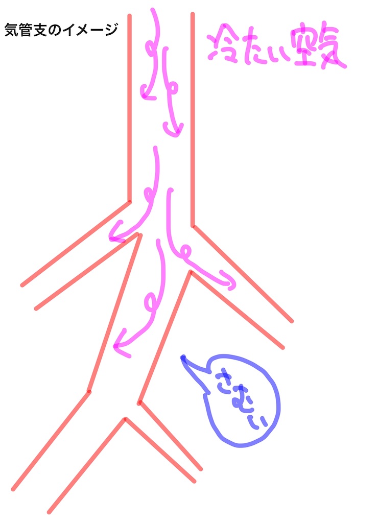 f:id:med-info4parents:20190129110637j:image f:id:med-info4parents:20190129110637j:image