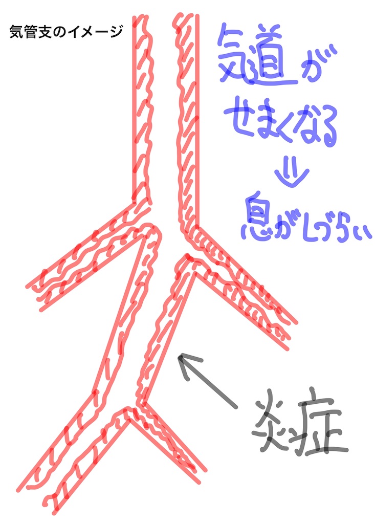 f:id:med-info4parents:20190129110647j:image f:id:med-info4parents:20190129110647j:image