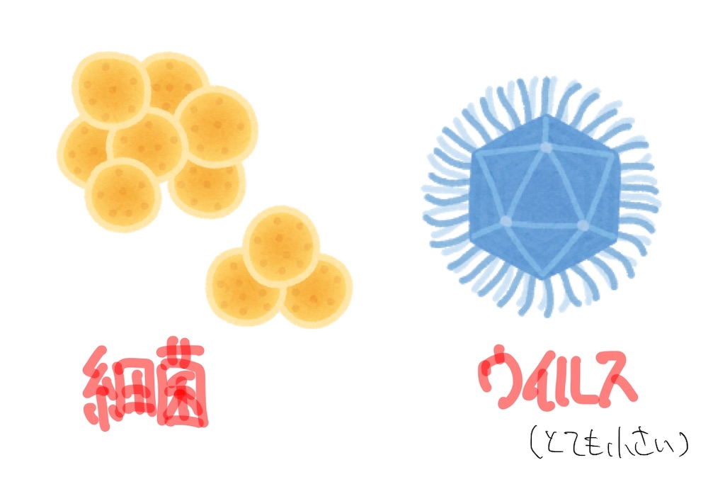 f:id:med-info4parents:20190131161429j:image f:id:med-info4parents:20190131161429j:image