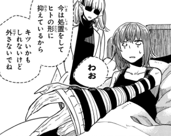 感想 魔法使いの嫁 8 ヤマザキコレ 著 いまここが分かれ目 最も暗いのは 夜の明ける直前 マンガ感想 レビュー 勤務医開業つれづれ日記 3