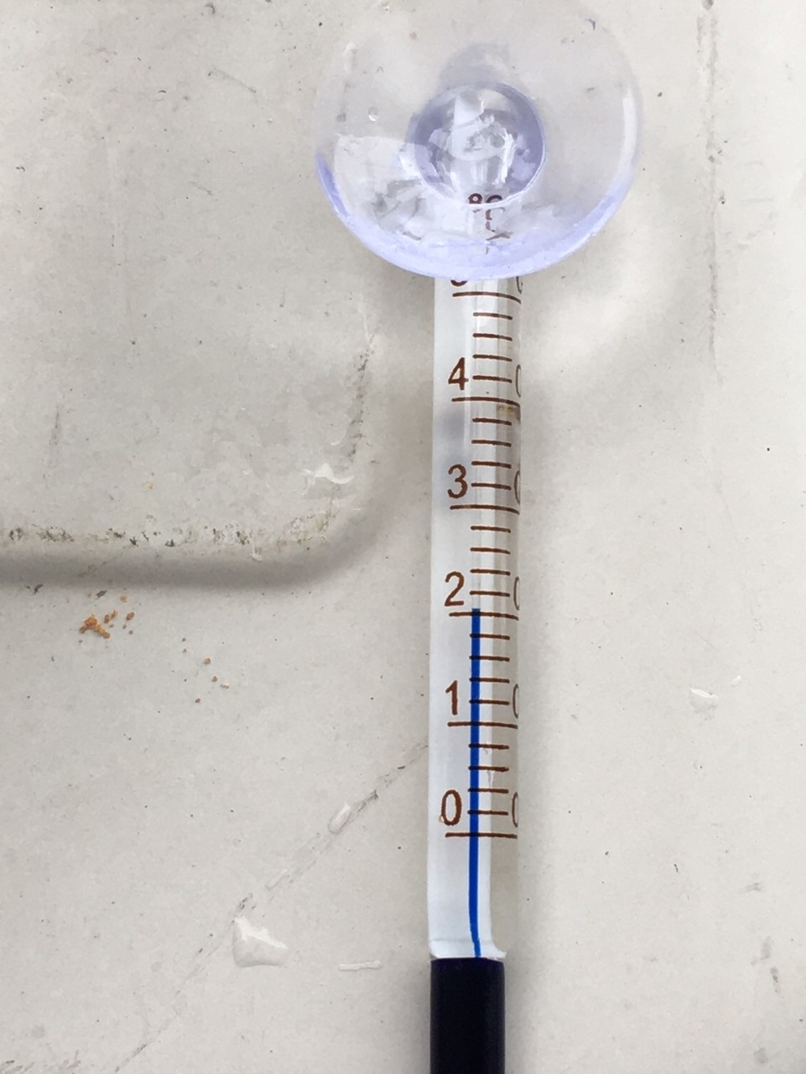 メダカの卵 成長過程 Day ２ メダカの卵 写真 おうちメダカの赤ちゃん