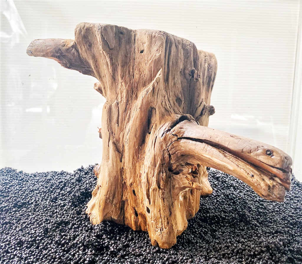 流木をヤフオクに出品してみたら 宣伝 本日終了 金魚メダカにアクアリウムと流木噺し