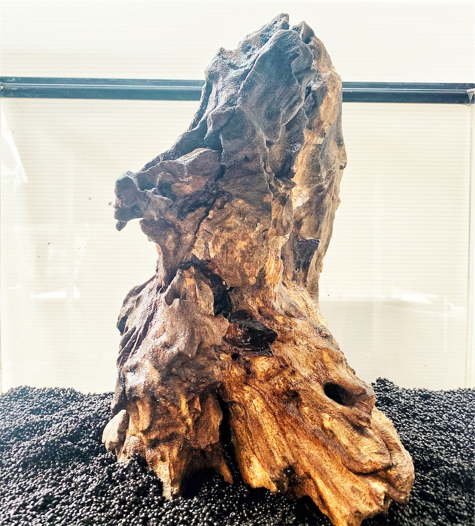 流木をヤフオクに出品してみたら 宣伝 本日終了 金魚メダカにアクアリウムと流木噺し