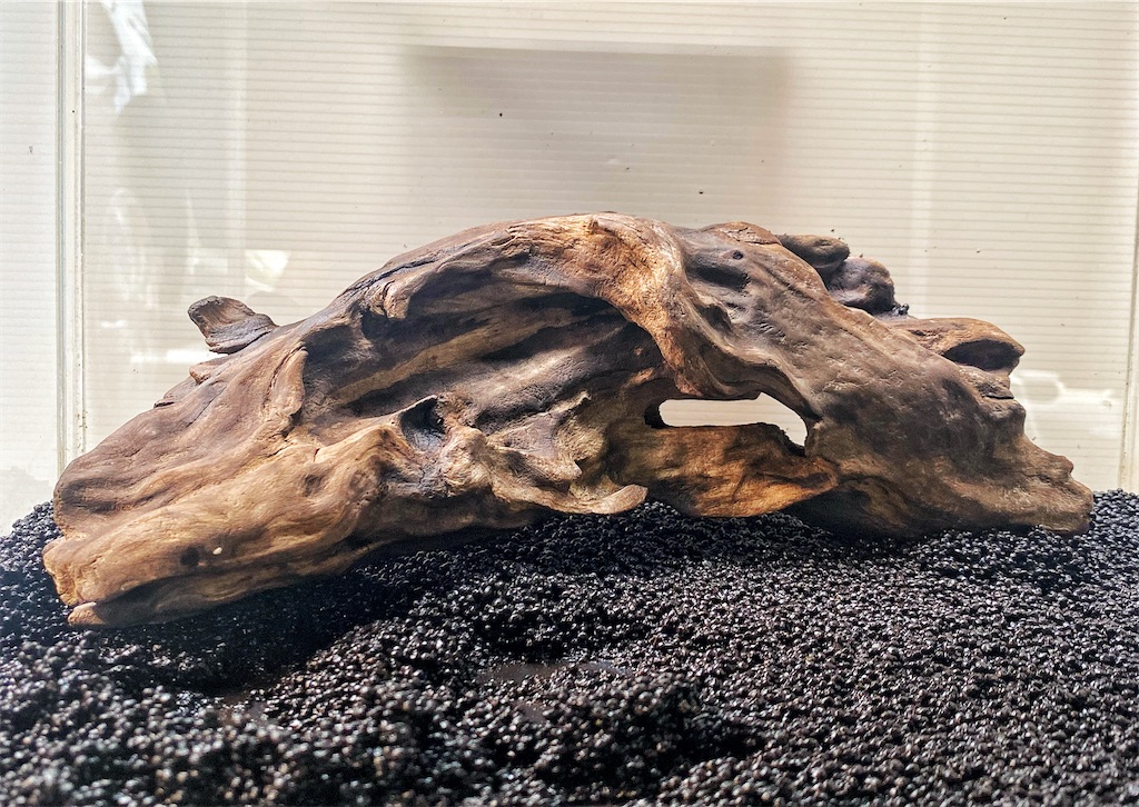 流木をヤフオクに出品してみたら 宣伝 本日終了 金魚メダカにアクアリウムと流木噺し