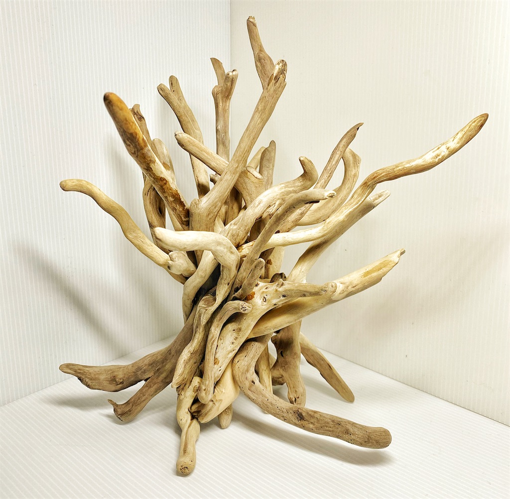 f:id:medakaslime:20201121205358j:image f:id:medakaslime:20201121205358j:image