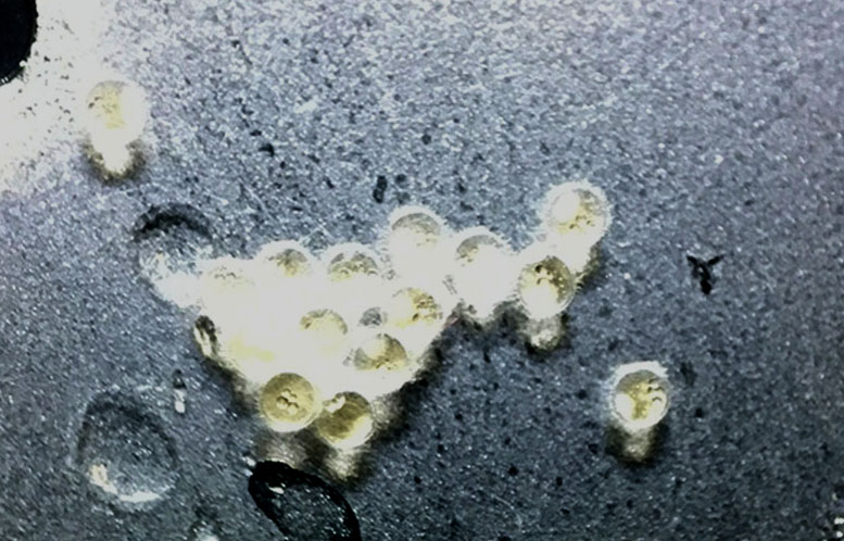 f:id:medakazebra:20190814220126j:plain f:id:medakazebra:20190814220126j:plain