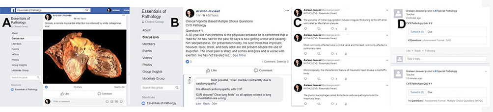 f:id:medical-educator:20200209055300p:plain