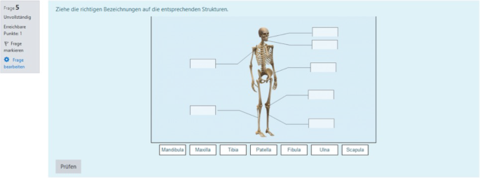 f:id:medical-educator:20200830065148p:plain