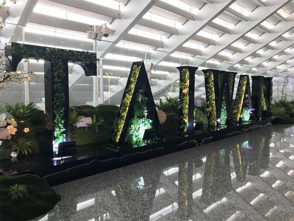 f:id:medicalengineer:20191013112331j:image