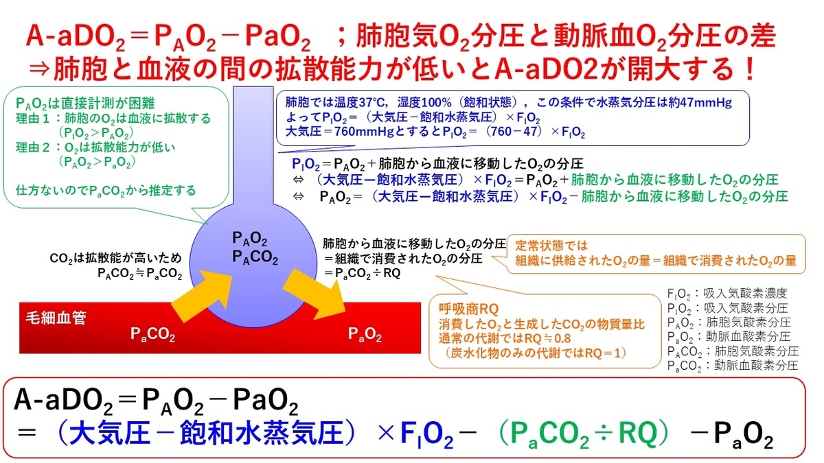 肺胞気式呼吸商 – 肺胞気式混合気体 分圧 | 呼吸生理 総論│医學事始 いがくことはじめ – RUOR
