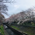20190331121011