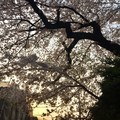 20190407174343