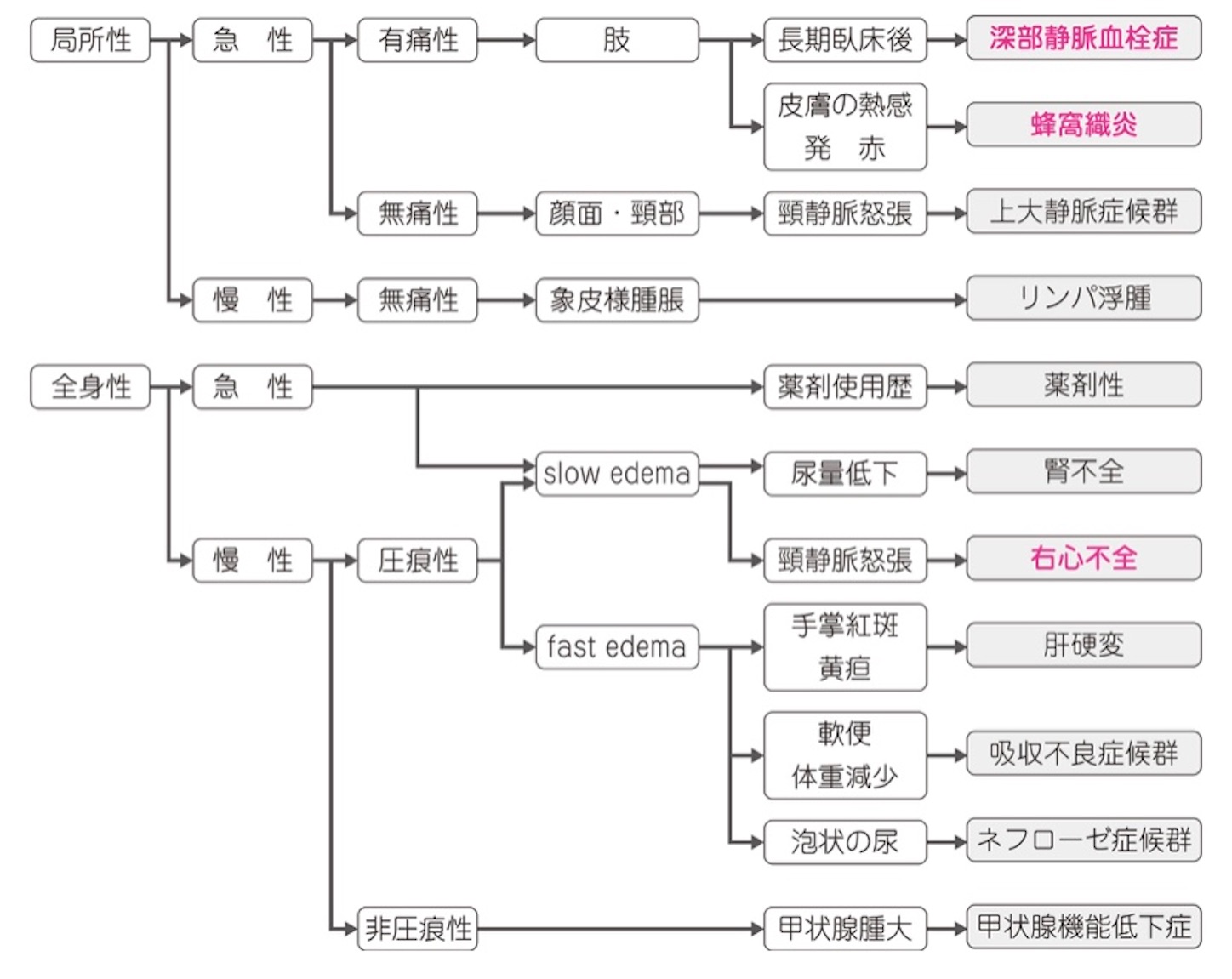 f:id:mediput:20200325085302j:image f:id:mediput:20200325085302j:image