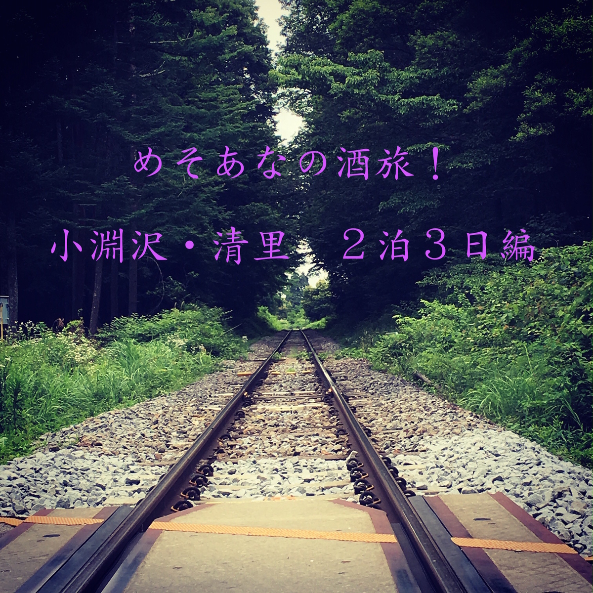 f:id:meditation-analyst:20190716224621j:plain