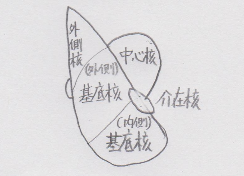 f:id:medudent:20180123144623p:plain f:id:medudent:20180123144623p:plain