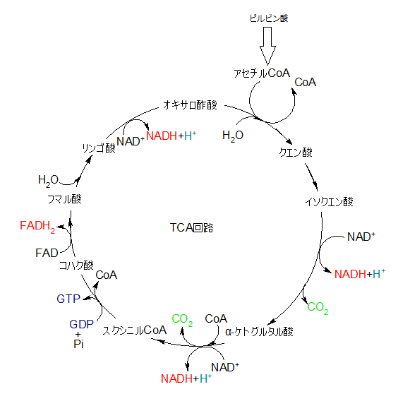 f:id:medudent:20180223134415p:plain f:id:medudent:20180223134415p:plain