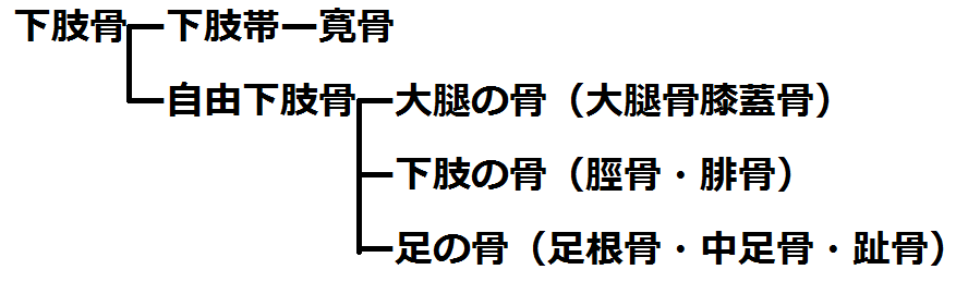 f:id:medudent:20180225125323p:plain f:id:medudent:20180225125323p:plain