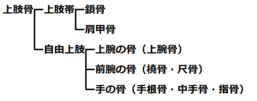 f:id:medudent:20180225130726p:plain f:id:medudent:20180225130726p:plain