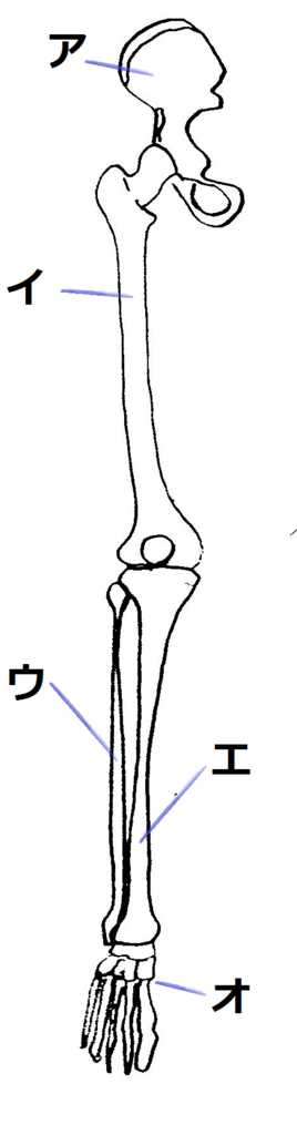 f:id:medudent:20180225132301p:plain f:id:medudent:20180225132301p:plain