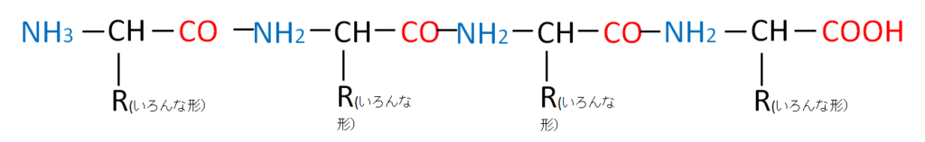 f:id:medudent:20190203162017p:plain f:id:medudent:20190203162017p:plain
