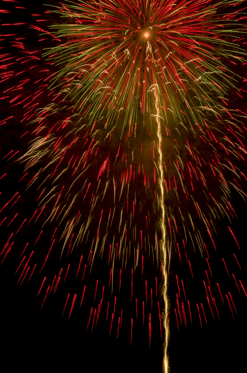 f:id:medullalab:20201228230520j:plain