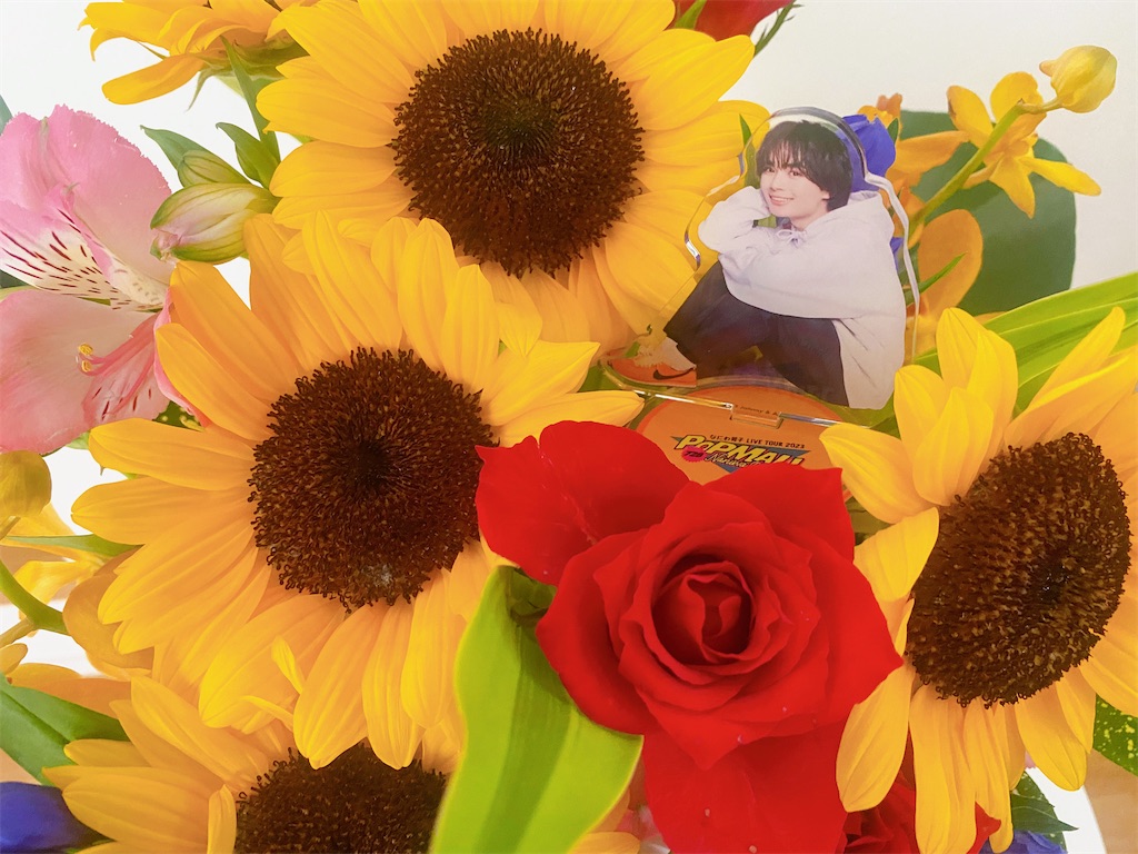 f:id:meduse_ff:20230806185512j:image