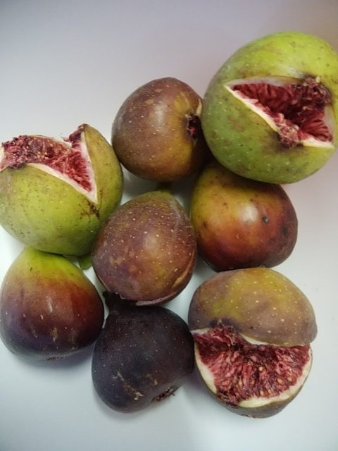 f:id:mee30:20201104195335j:plain