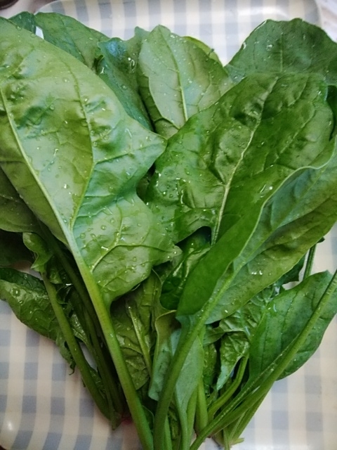 f:id:mee30:20201104195345j:plain