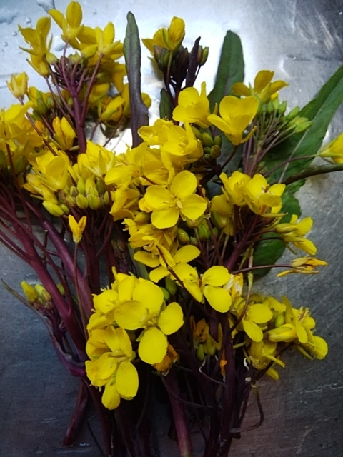 f:id:mee30:20210104193533j:plain