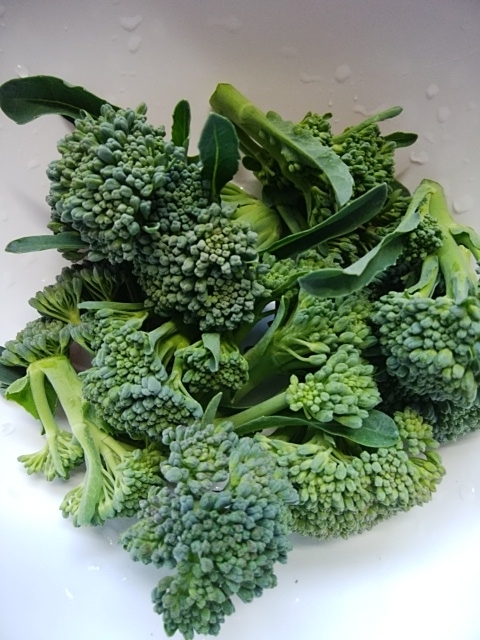 f:id:mee30:20210104193545j:plain