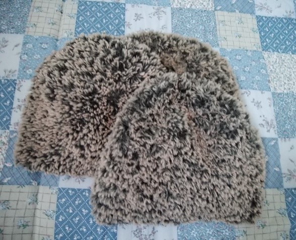 f:id:mee30:20210108195436j:plain