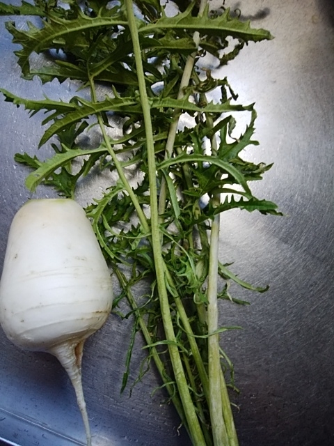 f:id:mee30:20210114192934j:plain