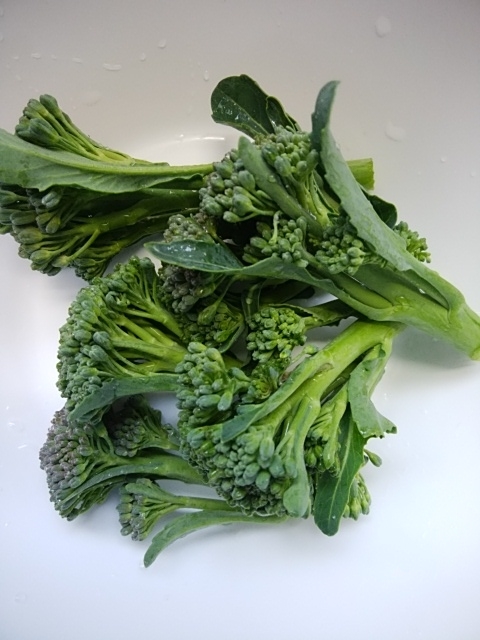 f:id:mee30:20210117183346j:plain