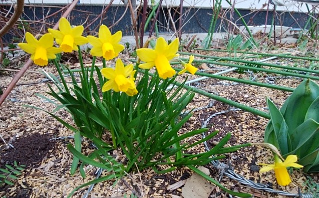 f:id:mee30:20210309195840j:plain